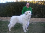 ampliar