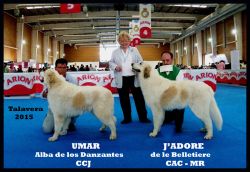 ampliar